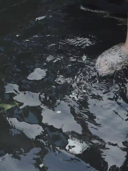 Sandales Femme Léopard – Confort & Style | Semelle Souple